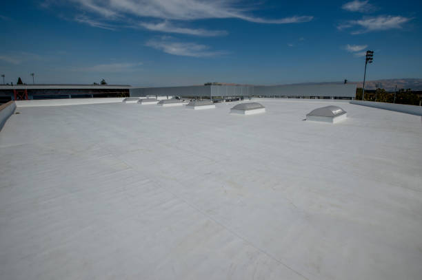 Best Rubber Roofing (EPDM, TPO)  in Roselle Park, NJ